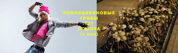 не бодяженный Щёлкино