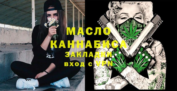 индика Абаза
