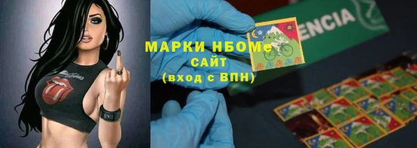 индика Абаза