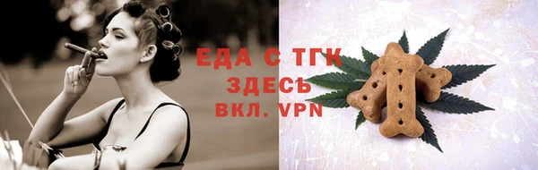 индика Абаза