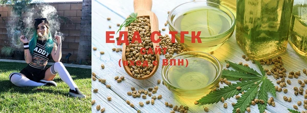 индика Абаза