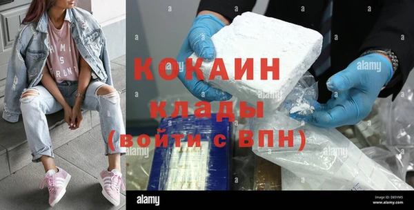 индика Абаза