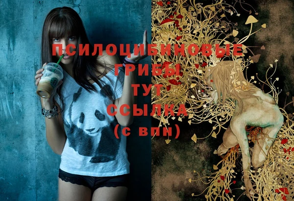 тгк Кодинск