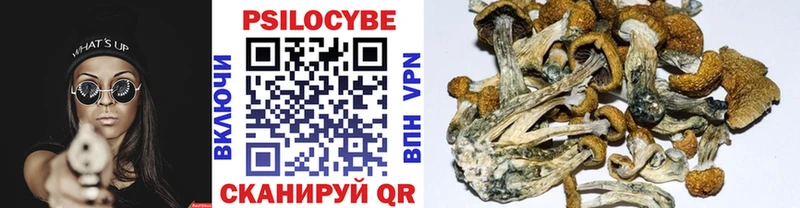 Псилоцибиновые грибы прущие грибы  купить  цена  Нестеровская 